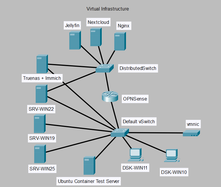 Virtual infrastructure diagram inside the ESXi cluster